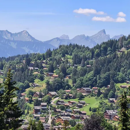 Gorgeous And Spacious Chalet Near The Center Villars-sur-Ollon