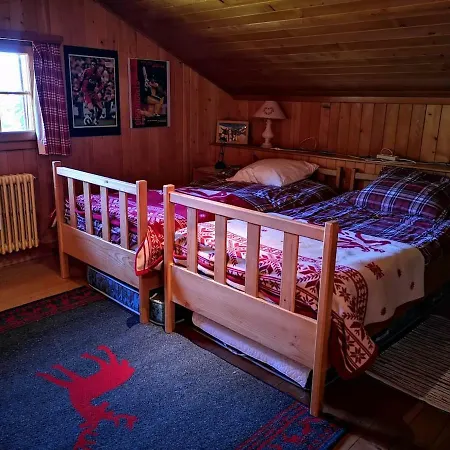 Gorgeous And Spacious Chalet Near The Center *
