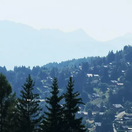 Gorgeous And Spacious Chalet Near The Center *