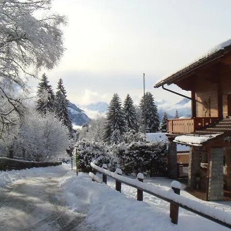 Gorgeous And Spacious Chalet Near The Center